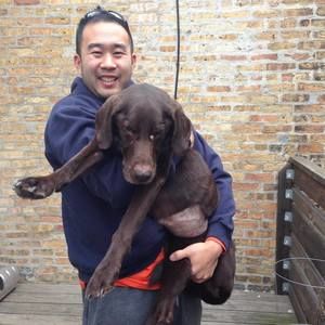 Meet your Posher, Tom